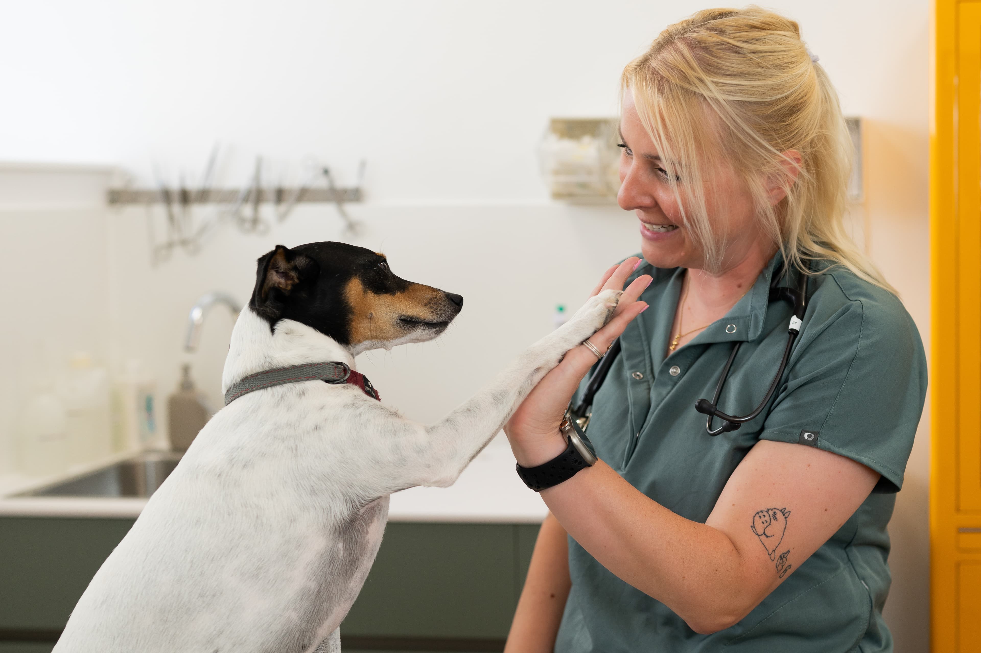 Tierärztin mit einem Hund auf dem Behandlungstisch